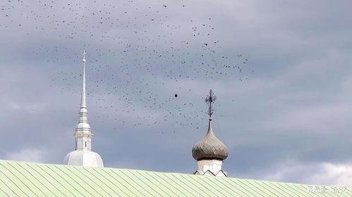 爱沙尼亚最新爆料消息,神秘事件背后真相曝光！”